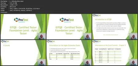 Istqb Certified Tester - Foundation Level - Agile Extension