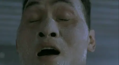 Long nga (2008)