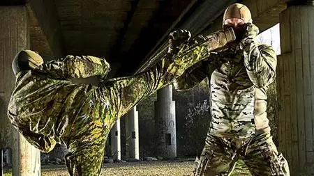Ultimate Strike, Defense and ShadowBoxing Master course