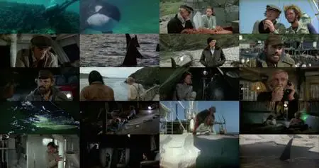 Orca (1977) [SHOUT]