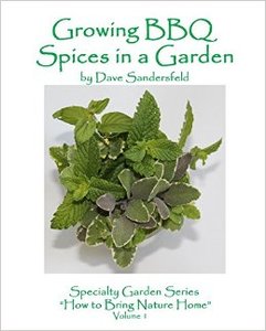 Growing BBQ Spices in a Garden