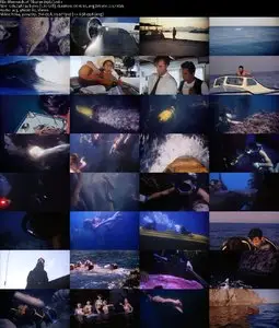 Mermaids of Tiburon (1962) 