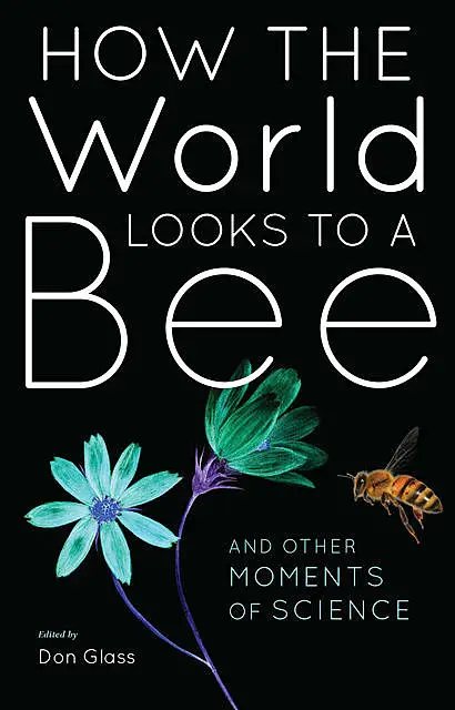 «How the World Looks to a Bee» by Don Glass