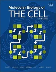 Molecular Biology of the Cell (6 edition)