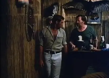 The Black Bunch (1973)