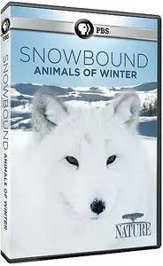 PBS Nature - Snowbound: Animals of Winter (2017)