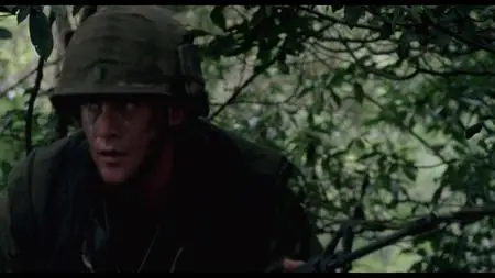 Platoon Leader (1988)