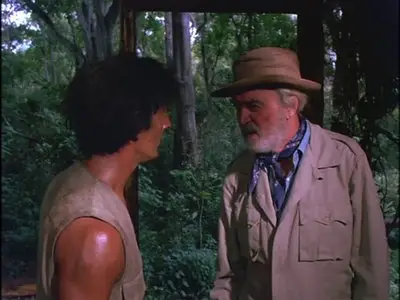 A Tale of Africa (1980)