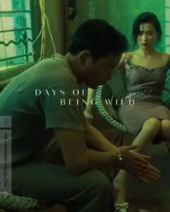 World of Wong Kar Wai: Days of Being Wild / Ah Fei jing juen (1990) [Criterion Collection]