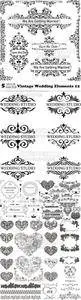 Vectors - Vintage Wedding Elements 12