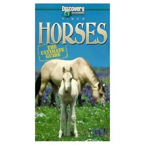 Discovery Channel – The Ultimate Guide Horses