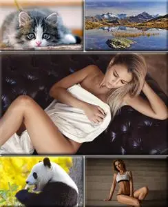 LIFEstyle News MiXture Images. Wallpapers Part (1566)