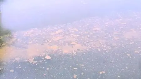 Take Back the Harbor (2018)