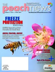 The Peach News - January 2019