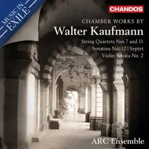 ARC Ensemble - Kaufmann: Chamber Works (2020)