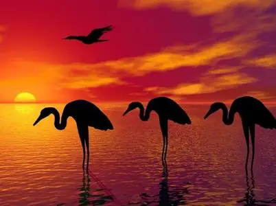 World In Photo 260