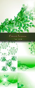 Design of green leaves