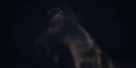 RUN S01E06