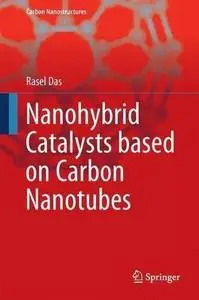 Nanohybrid Catalyst based on Carbon Nanotube [Repost]