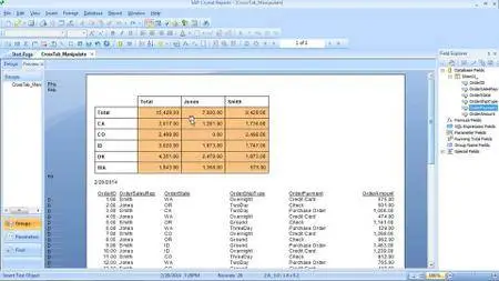 Crystal Reports 2013 Essential Training