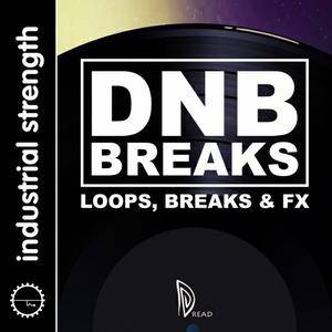 Industrial Strength - Dread – Drum and Bass Breakbeats WAV