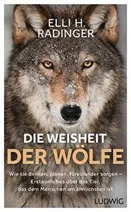 Die Weisheit der Wölfe: Wie sie denken, planen, füreinander sorgen