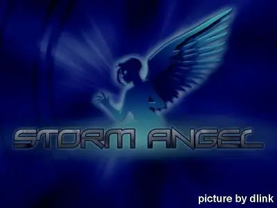 Storm-Angel