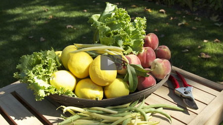 Udemy - Vegetable Gardening: How to Grow Healthy, Fresh Food at Home