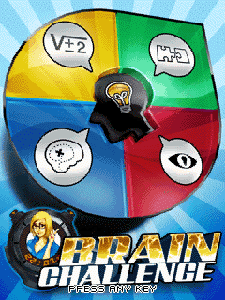 Nintendo DS Rom: Brain Challenge