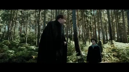 Harry Potter and the Prisoner of Azkaban (2004) [Full BluRay]