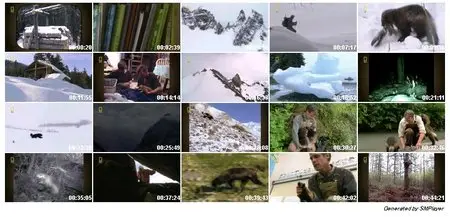 National Geographic: Phantom Wolverine