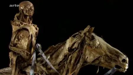 (Arte) Honoré Fragonard, la passion de l'anatomie (2011)