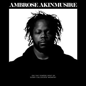 Ambrose Akinmusire - On The Tender Spot Of Every Calloused Moment (2020) [Official Digital Download 24/96]