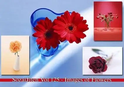 DataCraft SozaiJiten Vol 125 - Images of Flowers