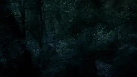 Dead by Dawn S01E05