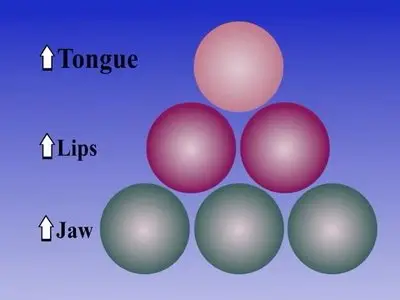 Videos on "Oral-Motor Exercises for Speech Clarity", 2008
