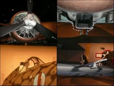 Macchi MC.200 Saetta Walk Around