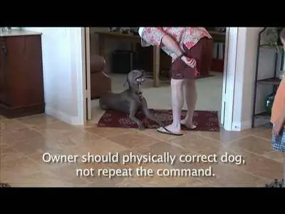 Don Sullivan - Secrets to Training the Perfect Dog [repost]