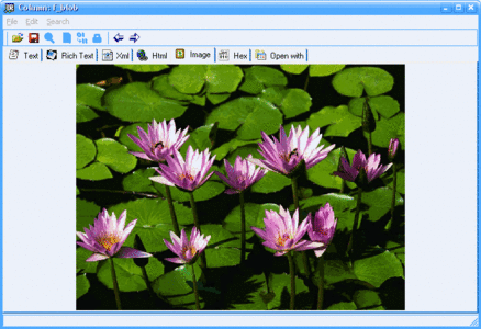 DBBlobEditor  3.4.1.50