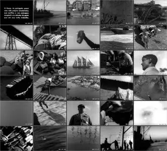 Labor on the Douro River (1931)