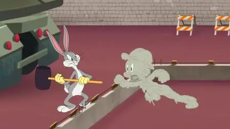 Looney Tunes Cartoons S05E12