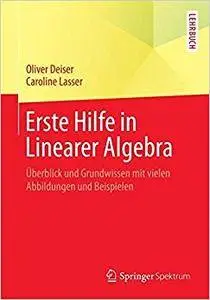 Erste Hilfe in Linearer Algebra: Überblick und Grundwissen mit vielen Abbildungen und Beispielen (Repost)