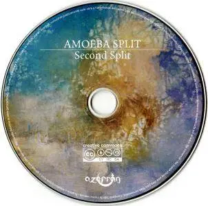 Amoeba Split - Second Split (2016)