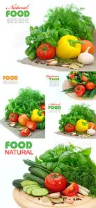 Vegetables 17