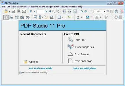 Qoppa PDF Studio Pro 11.0.4 Multilingual Portable