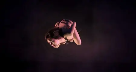 FEU: Crazy Horse Paris (2012)