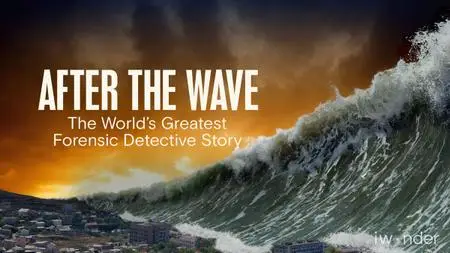 After the Wave: The World's Greatest Forensic Detective Story (2014)
