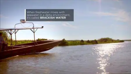 Journey with Dylan Dreyer S02E14