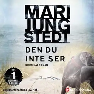 «Den du inte ser» by Mari Jungstedt