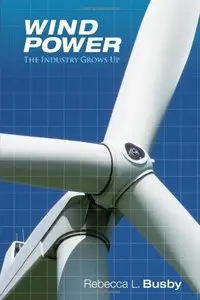 Wind Power: The Industry Grows Up (repost)